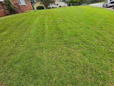 Lawn care service in Riverdale, 30296