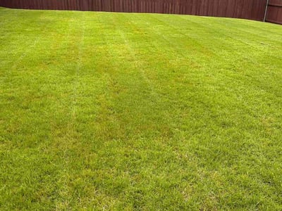 Lawn care service in Fort Worth, 76179