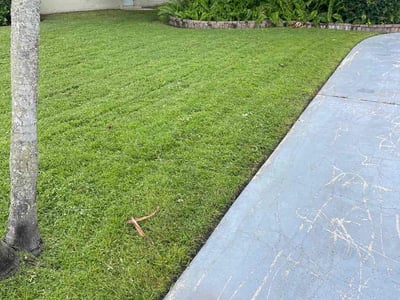Lawn care service in Wellington, 33414