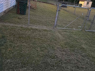 Lawn care service in Suffolk, 23434