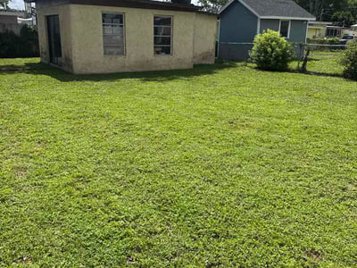 Lawn care service in Tampa, 33604