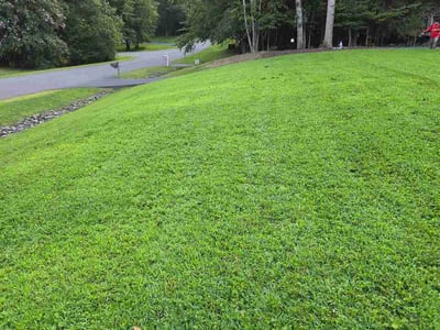 Lawn care service in Manassas, 20112