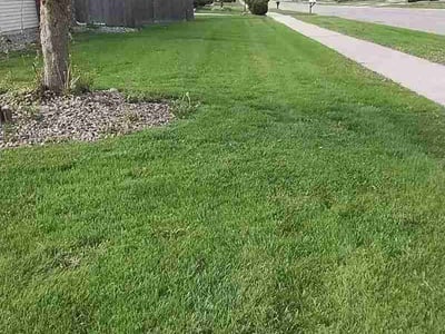 Lawn care service in Schererville, 46375