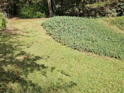 Lawn care service in Marietta, 30062