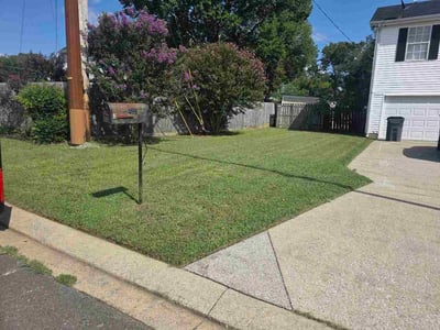 Lawn care service in La Vergne, 37086