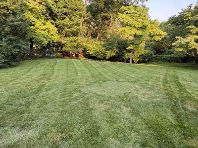 Lawn care service in Bethesda, 20814