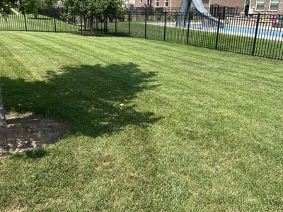 Lawn care service in New Lenox, 60451