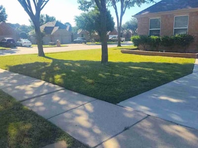 Lawn care service in Denton, 76210