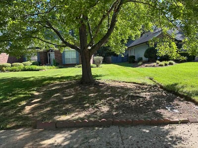 Lawn care service in Indian Trail, 28079