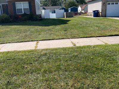 Lawn care service in Westland, 48186