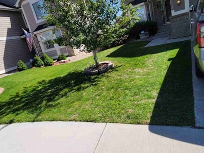 Lawn care service in Parker, 80134