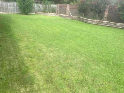 Lawn care service in Sugar Land, 77479