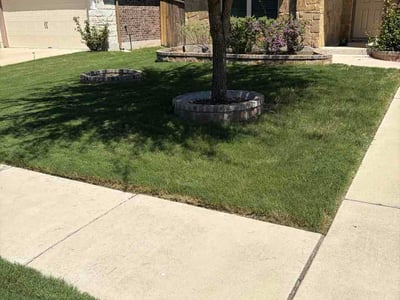 Lawn care service in Leander, 78641