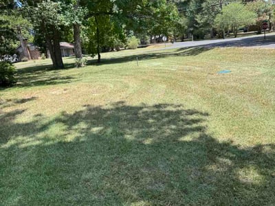 Lawn care service in Haughton, 71037