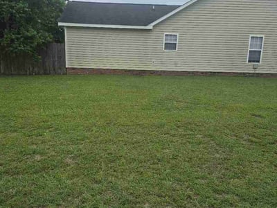 Lawn care service in Winterville, 28590