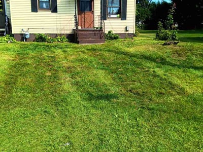 Lawn care service in South Burlington, 05403