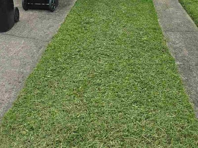 Lawn care service in Chalmette, 70043
