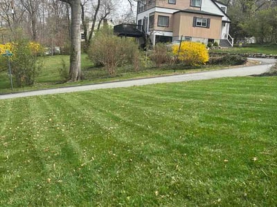 Lawn care service in Chatham Township, 07928