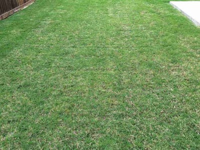 Lawn care service in Aubrey, 76227
