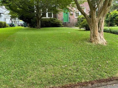 Lawn care service in Norfolk, 23508
