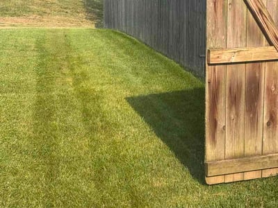 Lawn care service in Indianapolis, 46235
