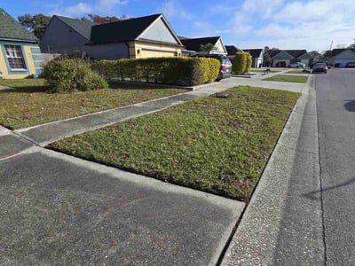 Lawn care service in Orlando, 32822
