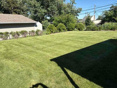 Lawn care service in Cedar Rapids, 52405