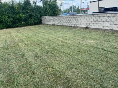Lawn care service in Warren, 48089