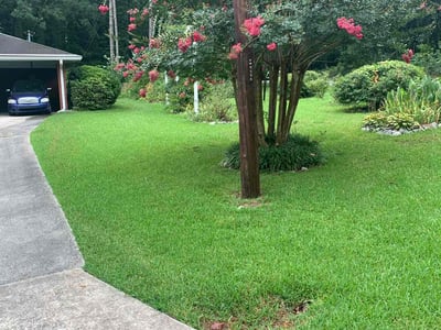 Lawn care service in Lithia Springs, 30122