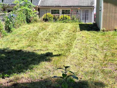 Lawn care service in Westminster, 21157