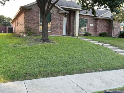Lawn care service in Rockwall, 75032