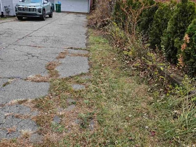 Lawn care service in Garden City, 48135