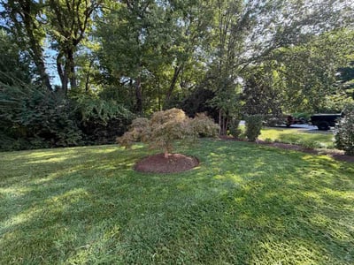 Lawn care service in McLean, 22102