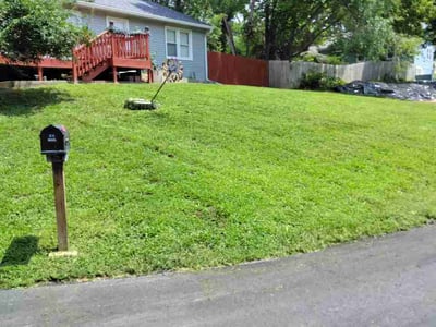 Lawn care service in Kansas City, 64137