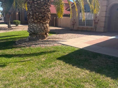 Lawn care service in Gilbert, 85233