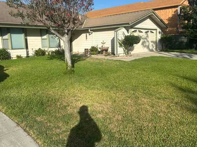 Lawn care service in Anaheim, 92808