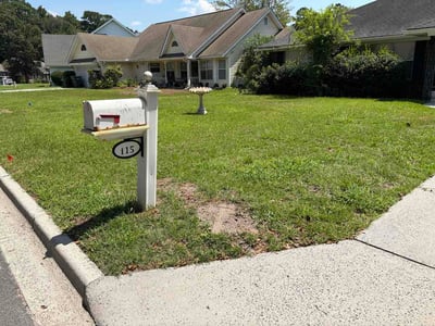 Lawn care service in Savannah, 31406