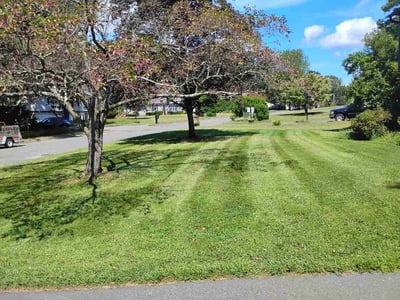 Lawn care service in Easthampton, 01027