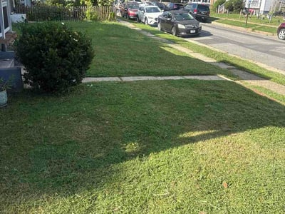 Lawn care service in Richmond, 23231