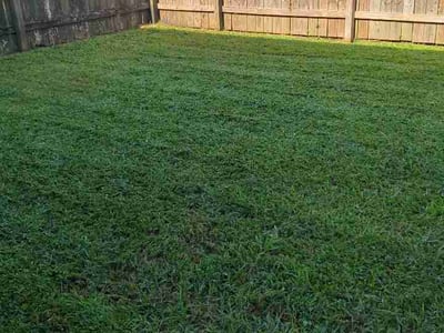 Lawn care service in New Orleans, 70114