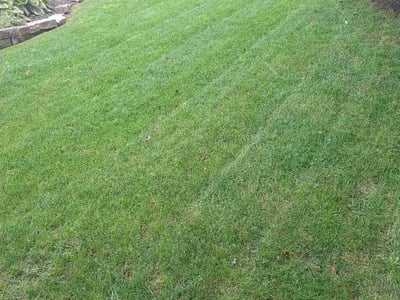 Lawn care service in Cincinnati, 45236