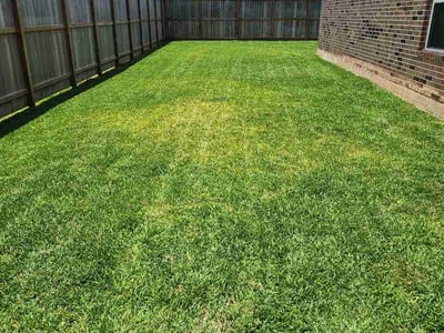 Lawn care service in Angleton, 77515