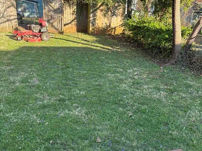 Lawn care service in Charlottesville, 22903