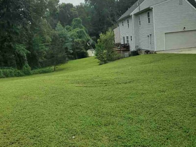 Lawn care service in Chester, 23831