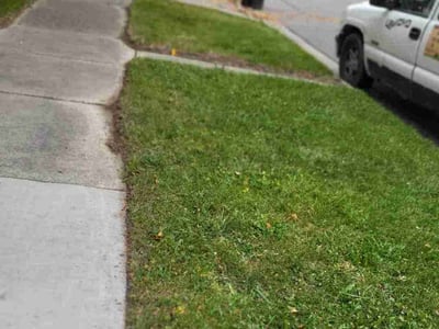 Lawn care service in Detroit, 48228