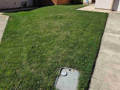Lawn care service in Fair Oaks, 95628