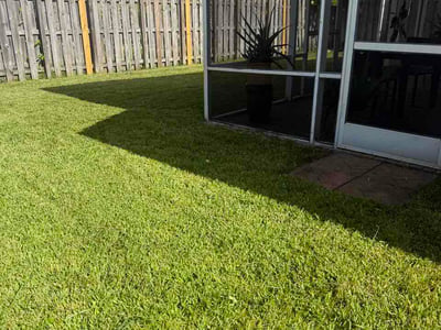 Lawn care service in Fort Lauderdale, 33312
