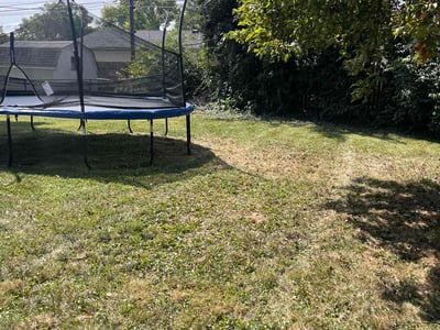 Lawn care service in Columbus, 43232