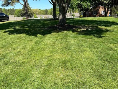 Lawn care service in Richmond, 23236