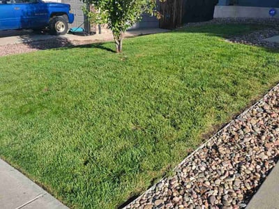 Lawn care service in Colorado Springs, 80922